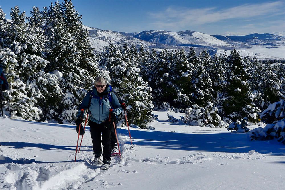 Schneeschuhwandern im Wald - Pyrénées-Orientales - Frankreich