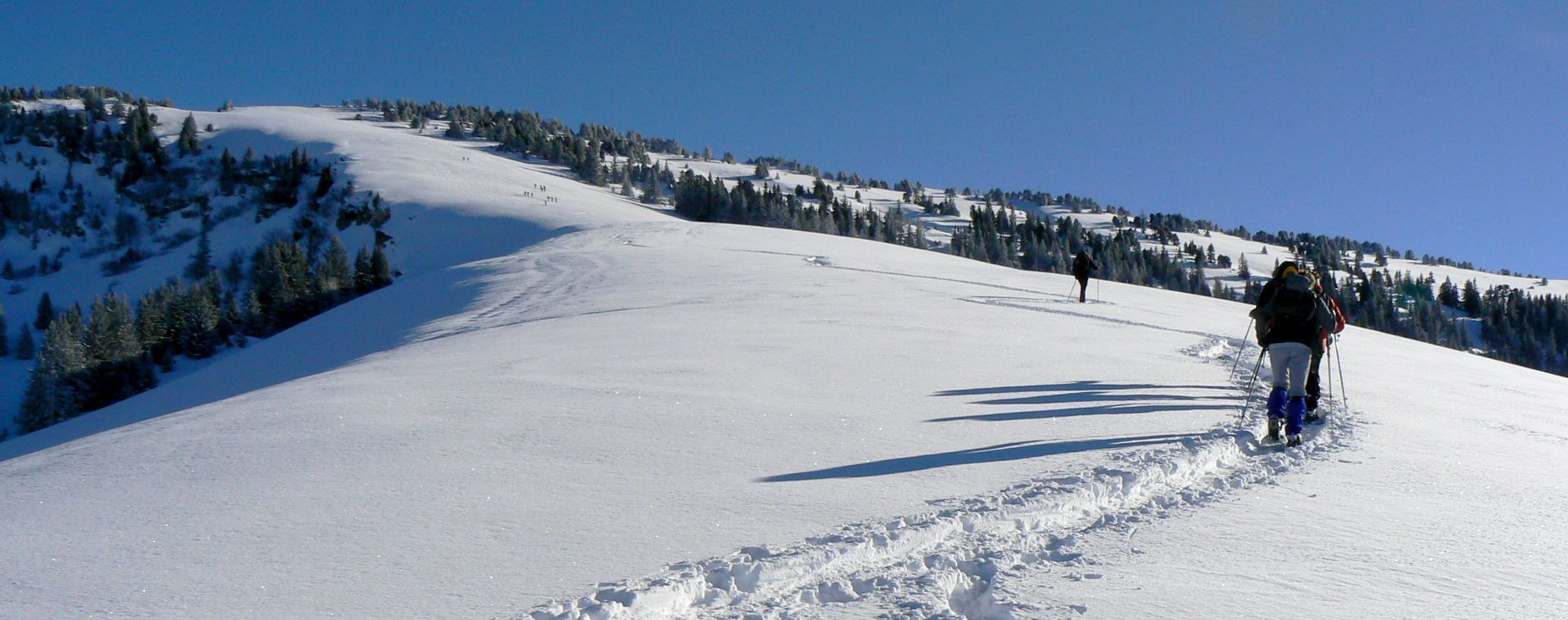 Schneeschuhwanderung im Chartreuse-Massiv - Alpen - Frankreich