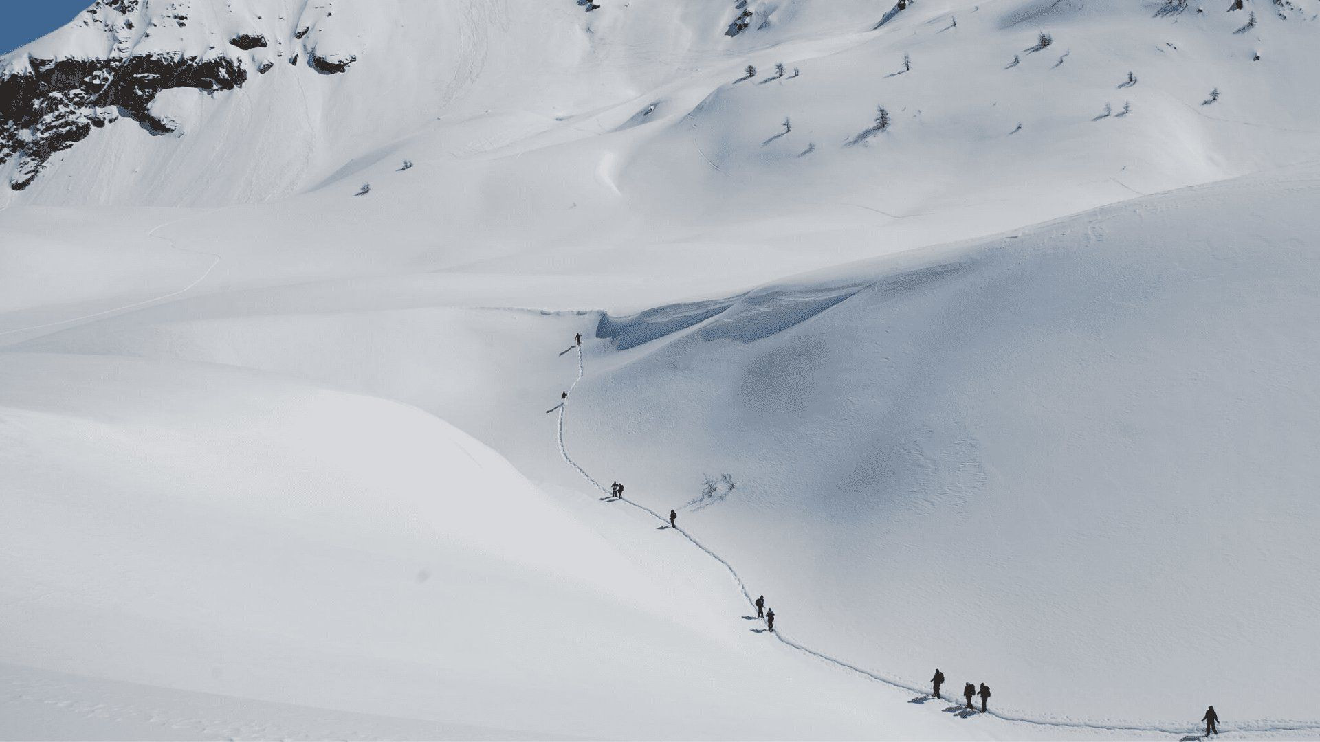 Schneeschuhwanderer in einer Reihe an einem verschneiten Hang - Queyras - Alpen - Frankreich