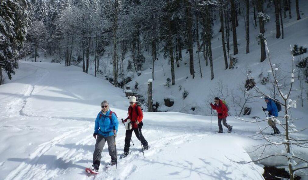 Schneeschuhwanderung im Wald - Schwarzwald - Deutschland