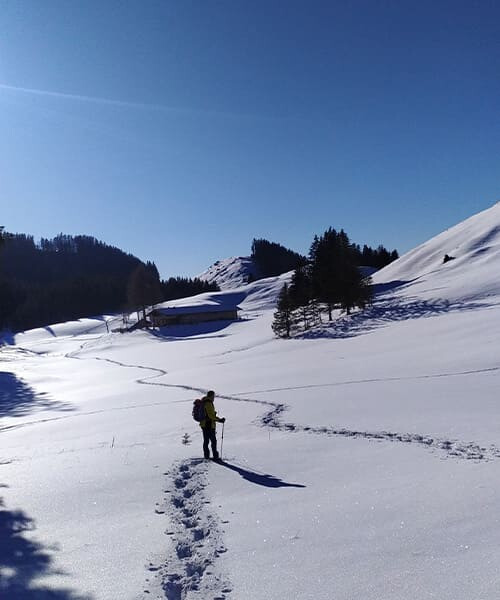 Schneeschuhwanderer im Neuschnee - Tirol - Österreich