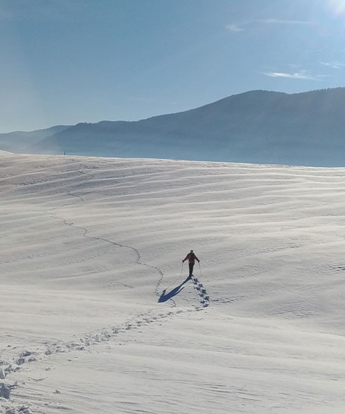 Schneeschuhwanderer auf der Ebene von Méaudre - Vercors - Frankreich
