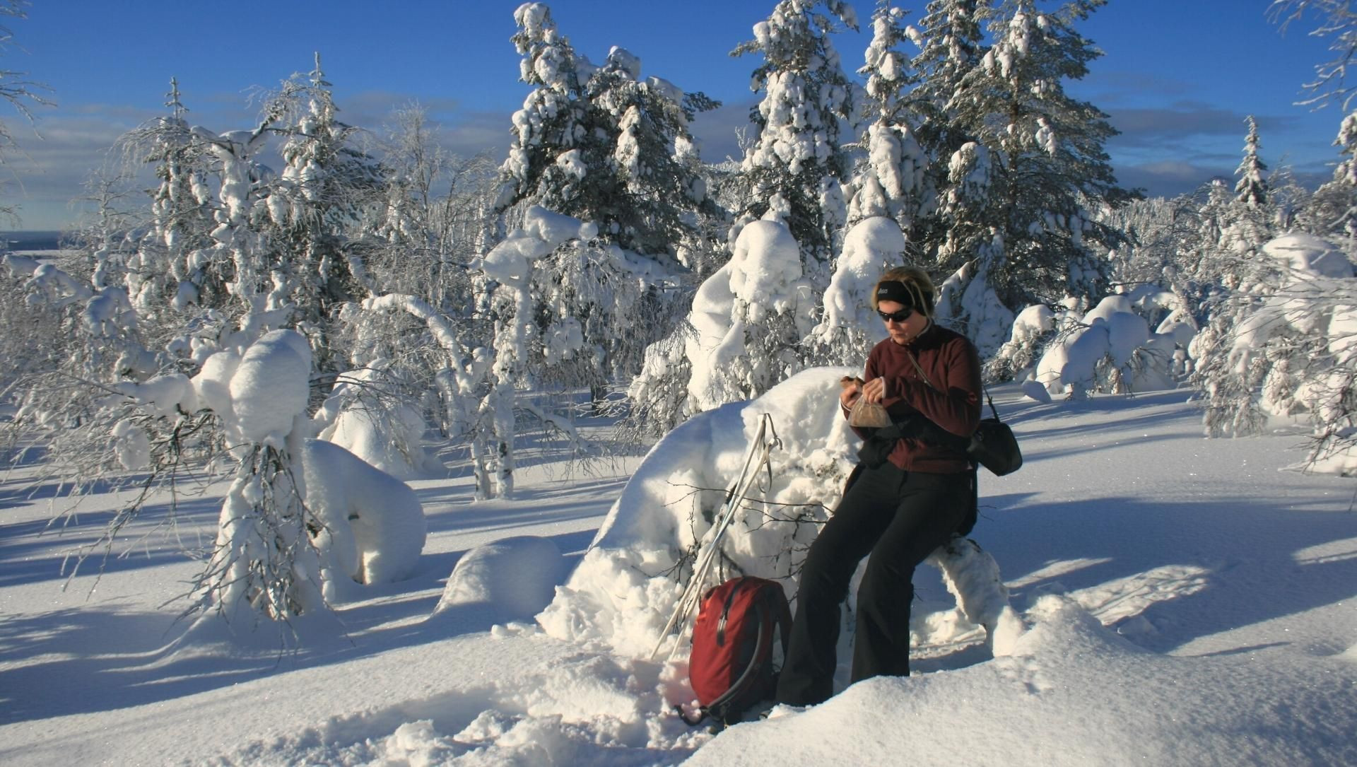 © Oriane Tempé Schneeschuhpause auf einem verschneiten Baum - Lappland - Finnland