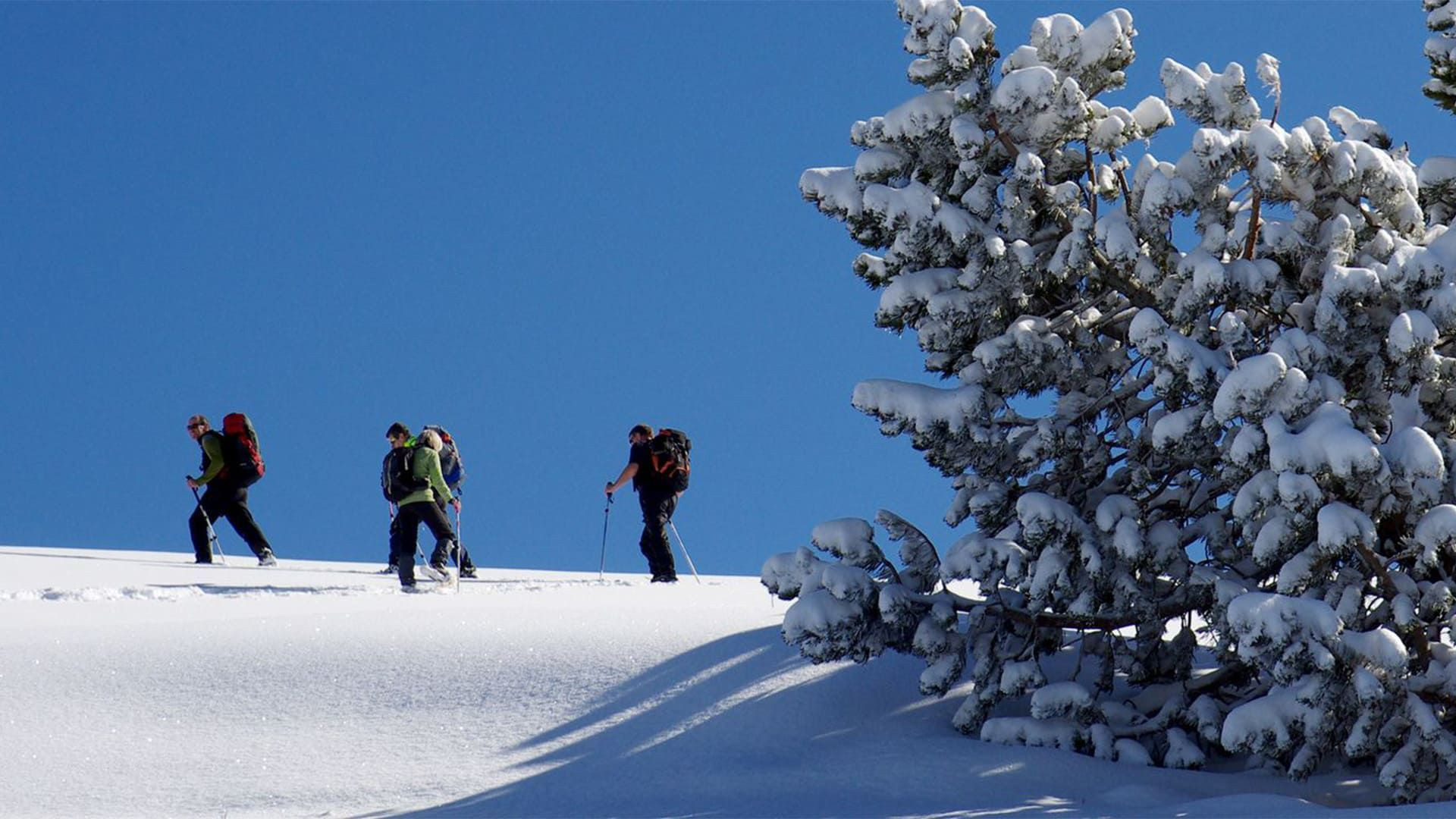 Schneeschuhwanderer auf der Alm Molière - Vercors - Frankreich