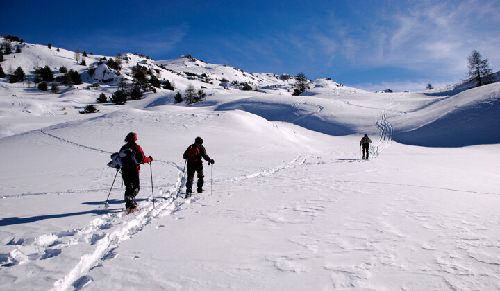 Schneeschuhwanderer am verschneiten Hang - Queyras - Französische Alpen