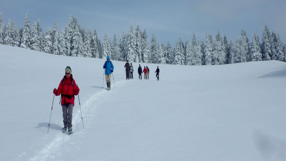 Schneeschuhwanderer im verschneiten Wald - Schwarzwald - Deutschland