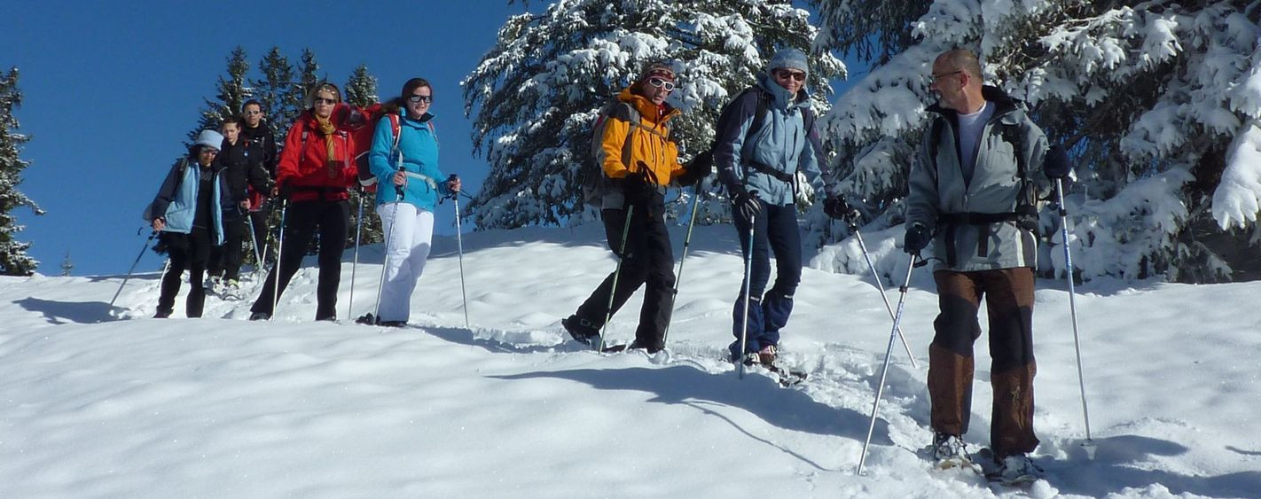 Schneeschuhwanderer - Bayern - Deutschland