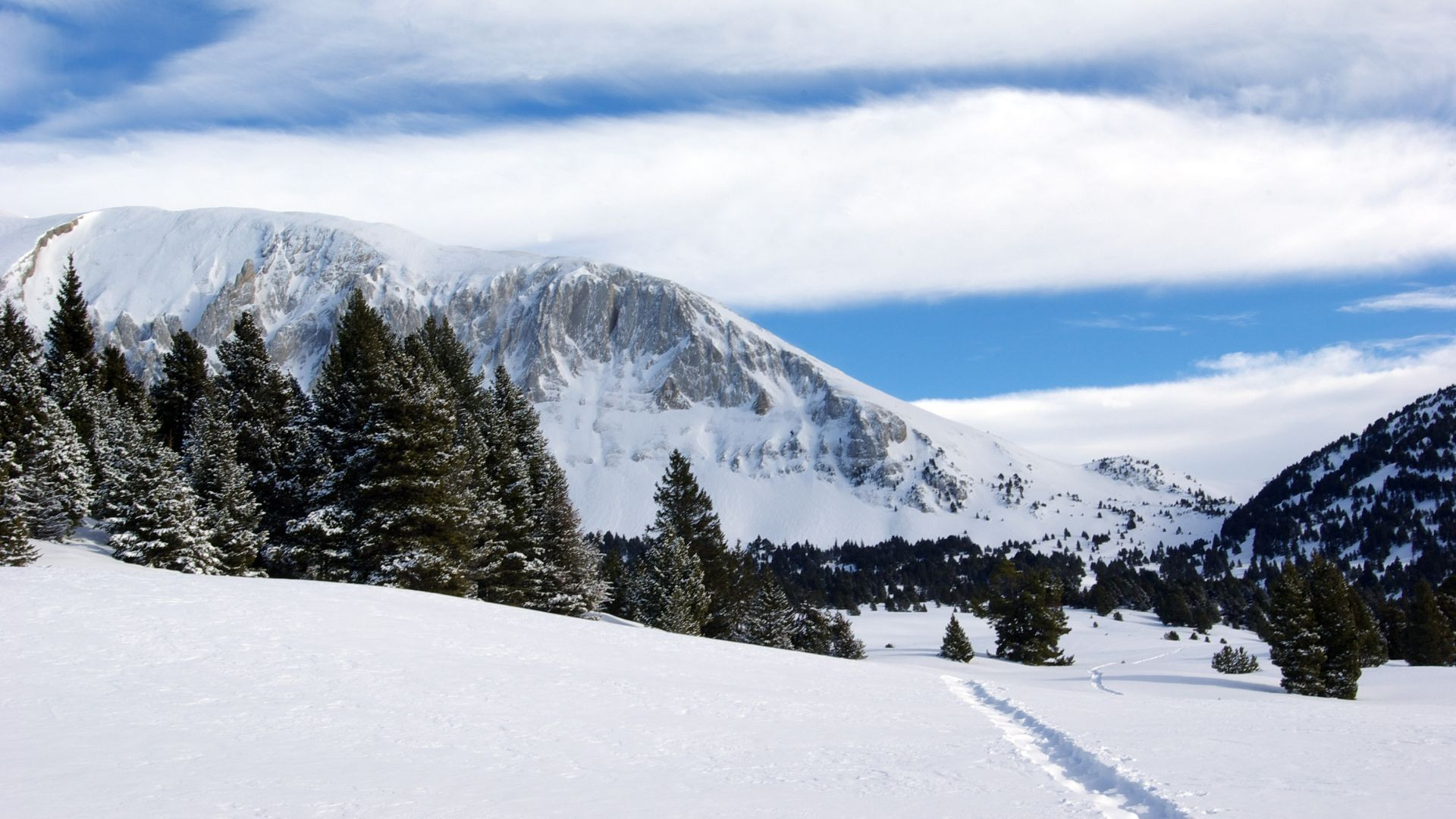 Schneeschuhwanderer im verschneiten Wald - Vercors