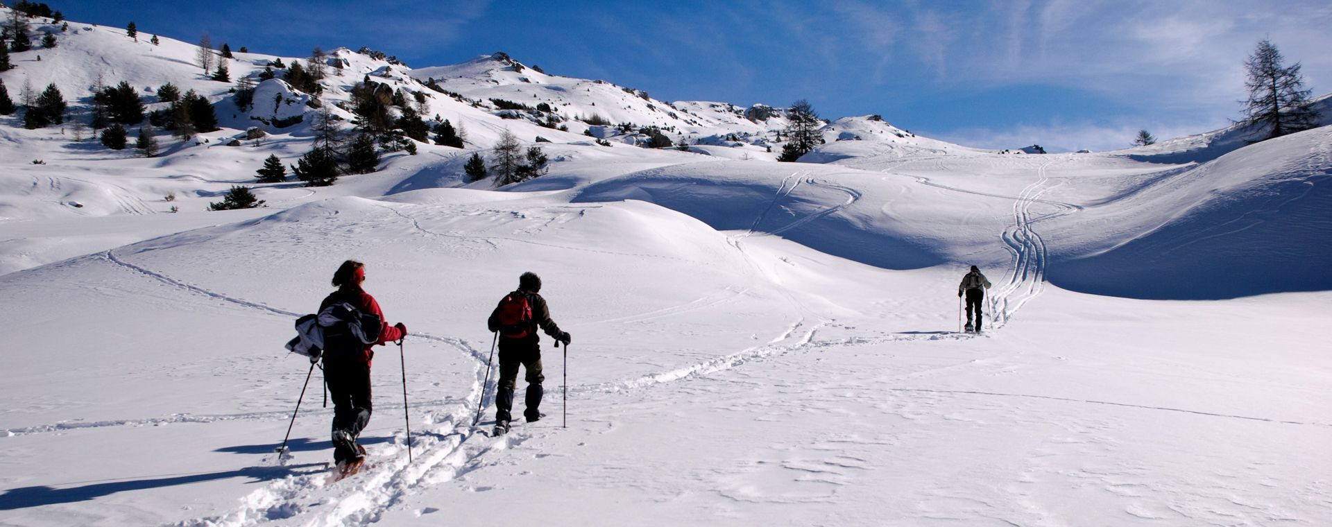 Schneeschuhwanderer im Schnee - Queyras - Alpen - Frankreich