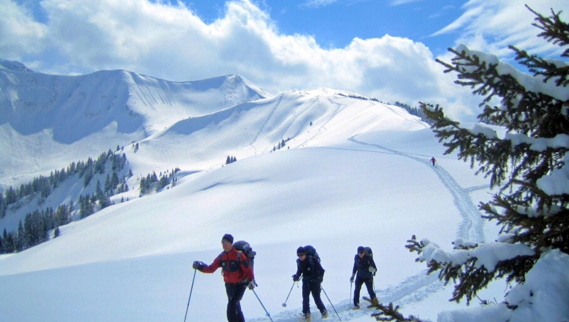 © Monika Albrecht Schneeschuhwanderer auf einem verschneiten Grat - Bregenzerwald - Österreich