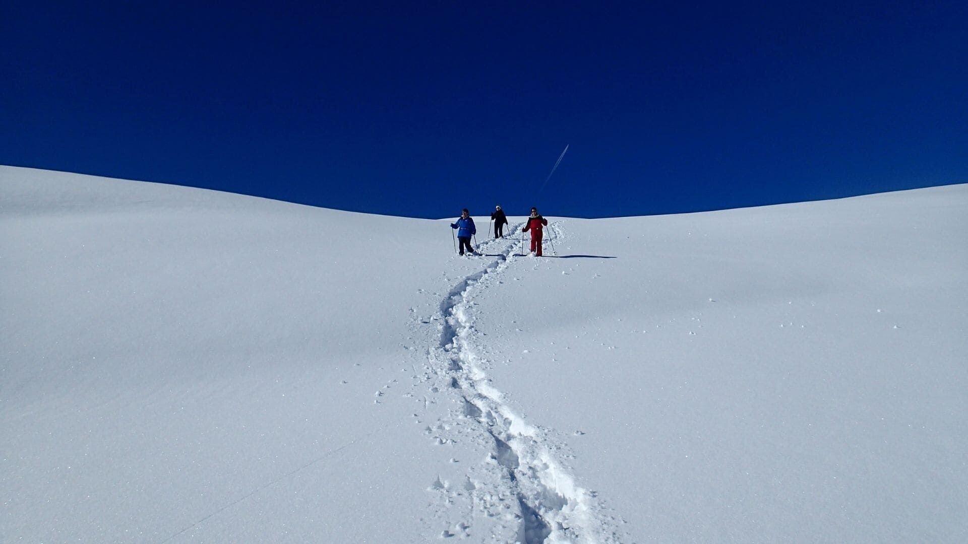 Schneeschuhwanderer auf einem verschneiten Hügelrücken unter blauem Himmel - Tarentaise - Savoyen - Frankreich