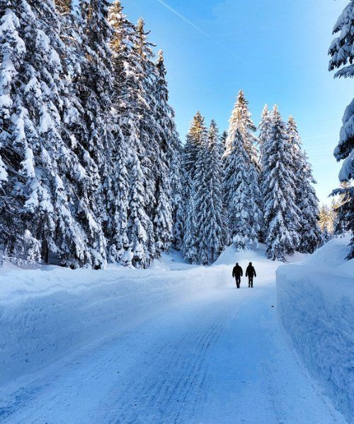 © Andrea Pizzato Schneeschuhwanderer auf einer verschneiten Straße - Seefeld-Wildmoos - Tirol - Österreich