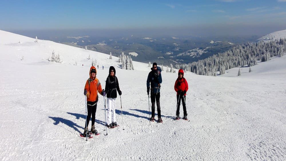 Schneeschuhwanderer an einem freien Hang - Schwarzwald - Deutschland