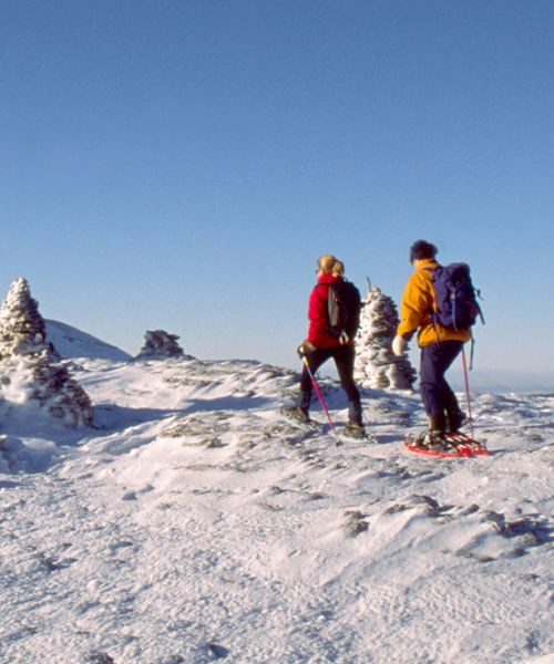 Schneeschuhwanderer auf der verschneiten Hochebene von Font d’Urle - Vercors - Frankreich
