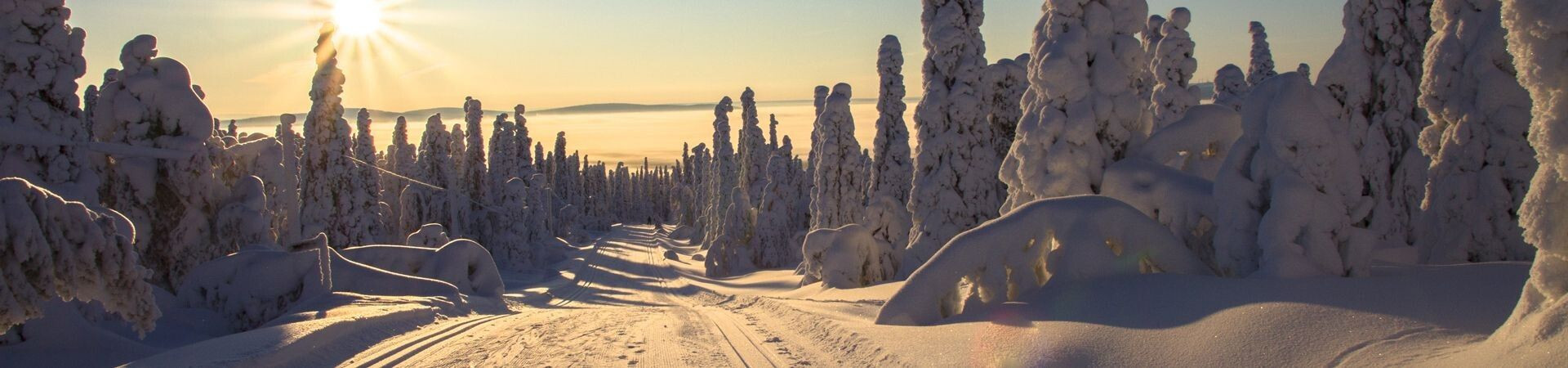 Langlaufen und nordisches Tourenskifahren in Lappland 2026