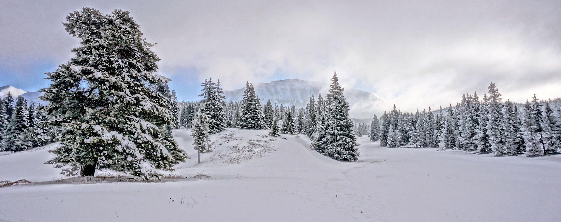 Verschneite Landschaft - Hochebenen des Vercors - Frankreich