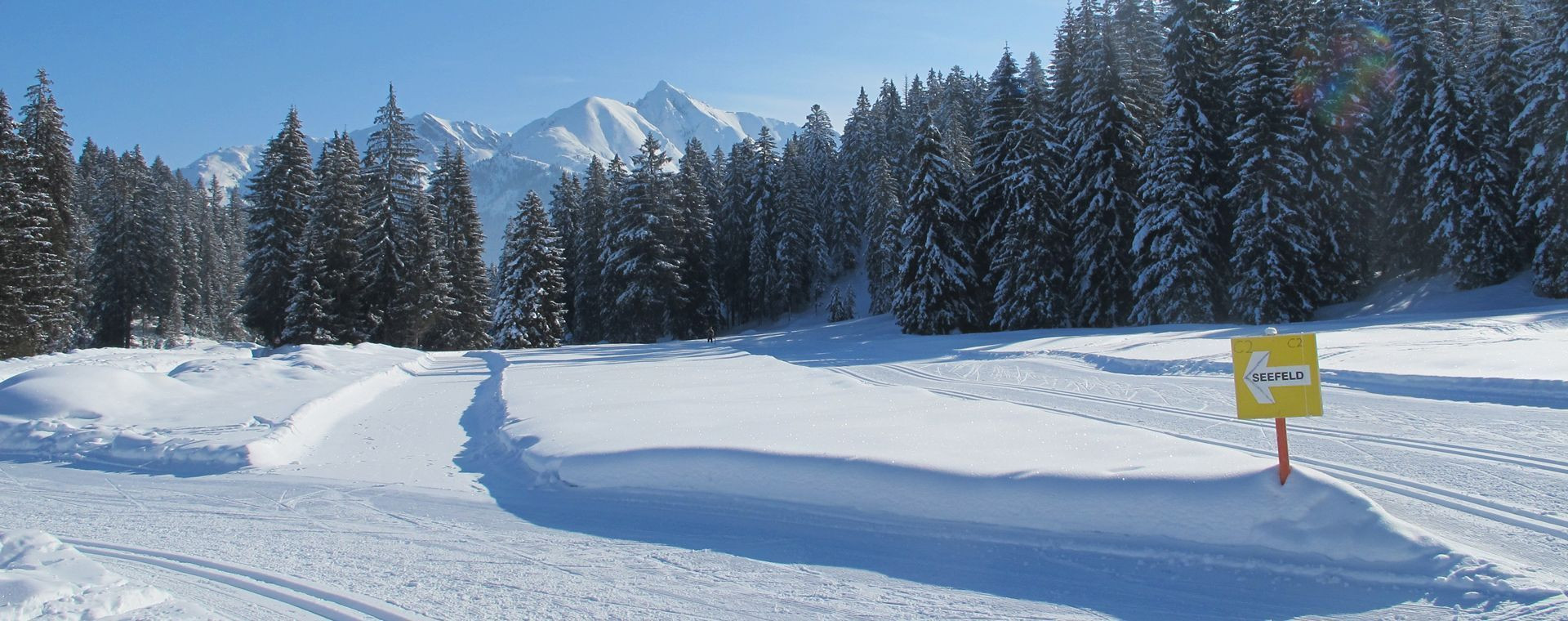 Verschneite Landschaft im Skigebiet Leutasch - Tirol - Österreich