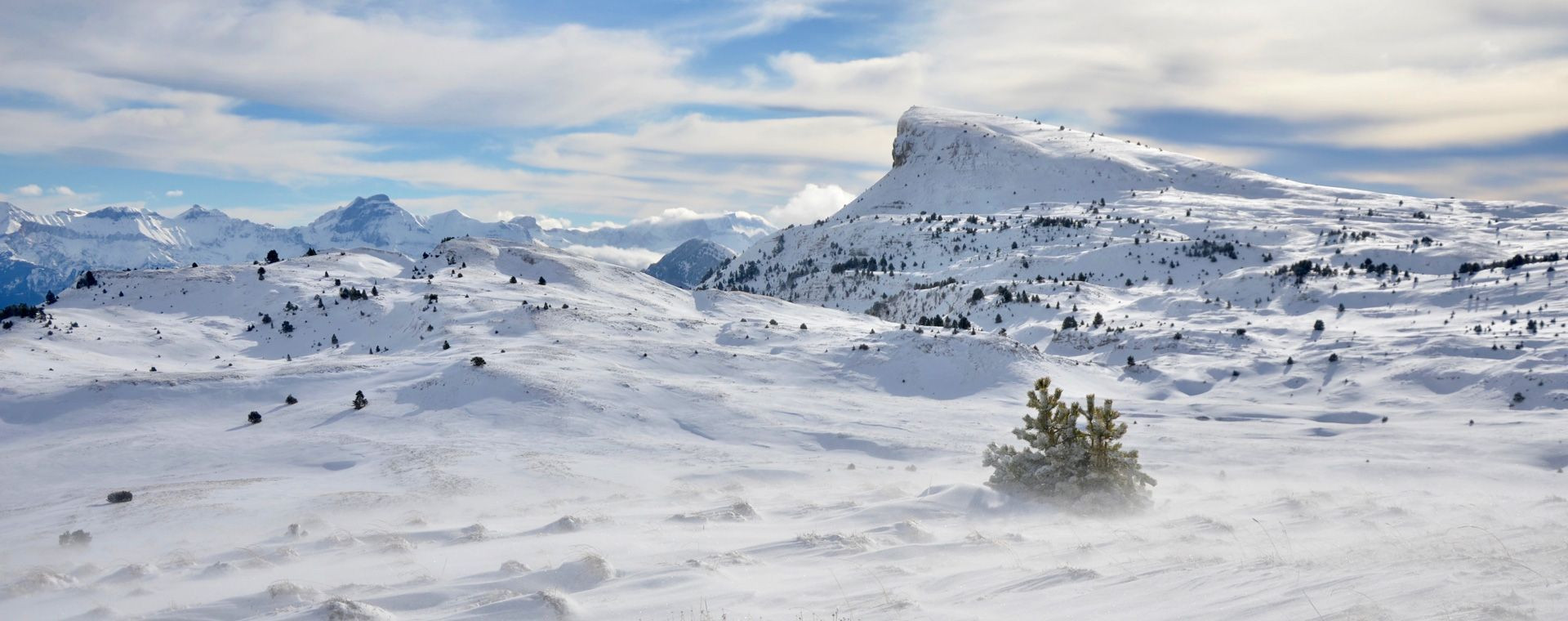 Verschneite Landschaft im Naturschutzgebiet Hauts Plateaux - Vercors - Frankreich