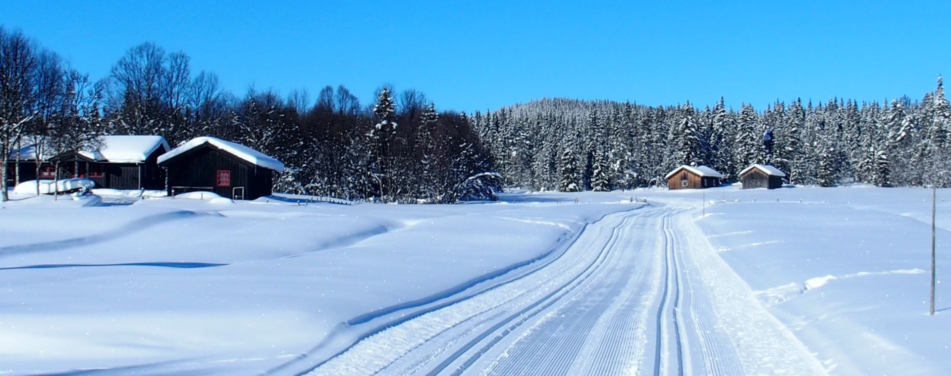Paysage enneigé sur le Golsfjellet - Norvège