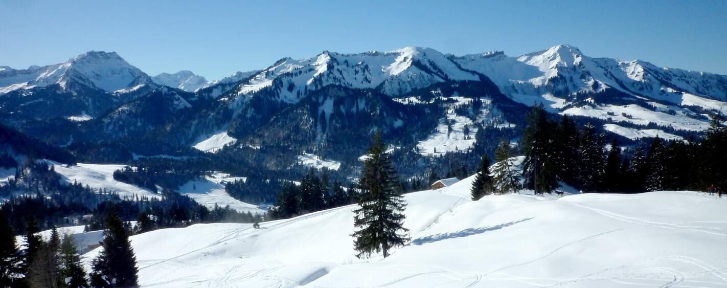 Panorama verschneiter Berge - Bregenzerwald - Vorarlberg - Österreich