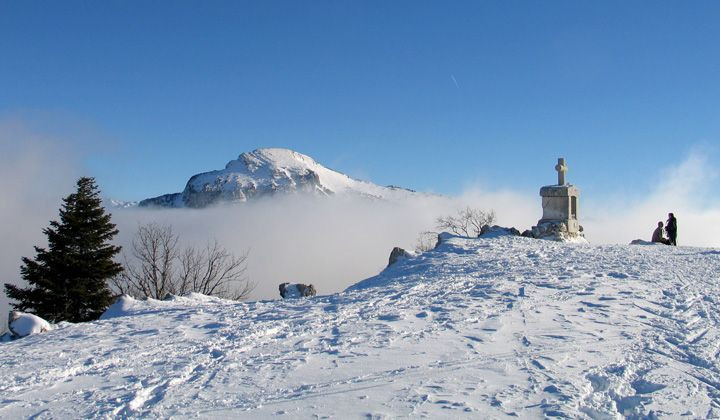 Verschneiter Gipfel über einem Wolkenmeer - Chartreuse - Frankreich