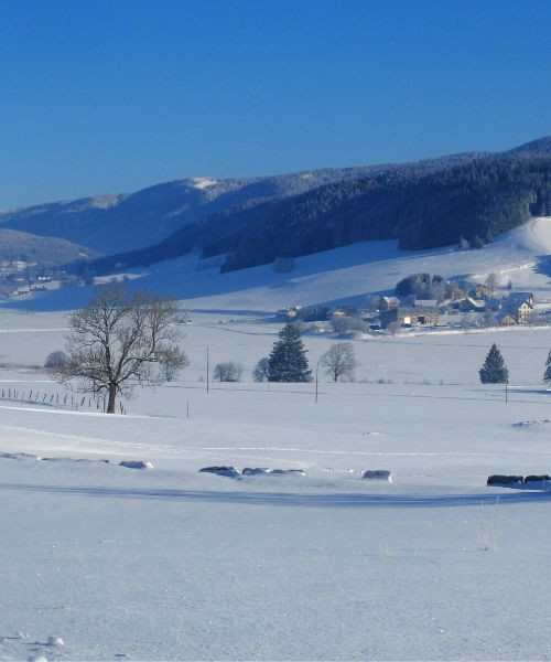 Verschneites Tal bei Autrans-Méaudre - Vercors - Frankreich