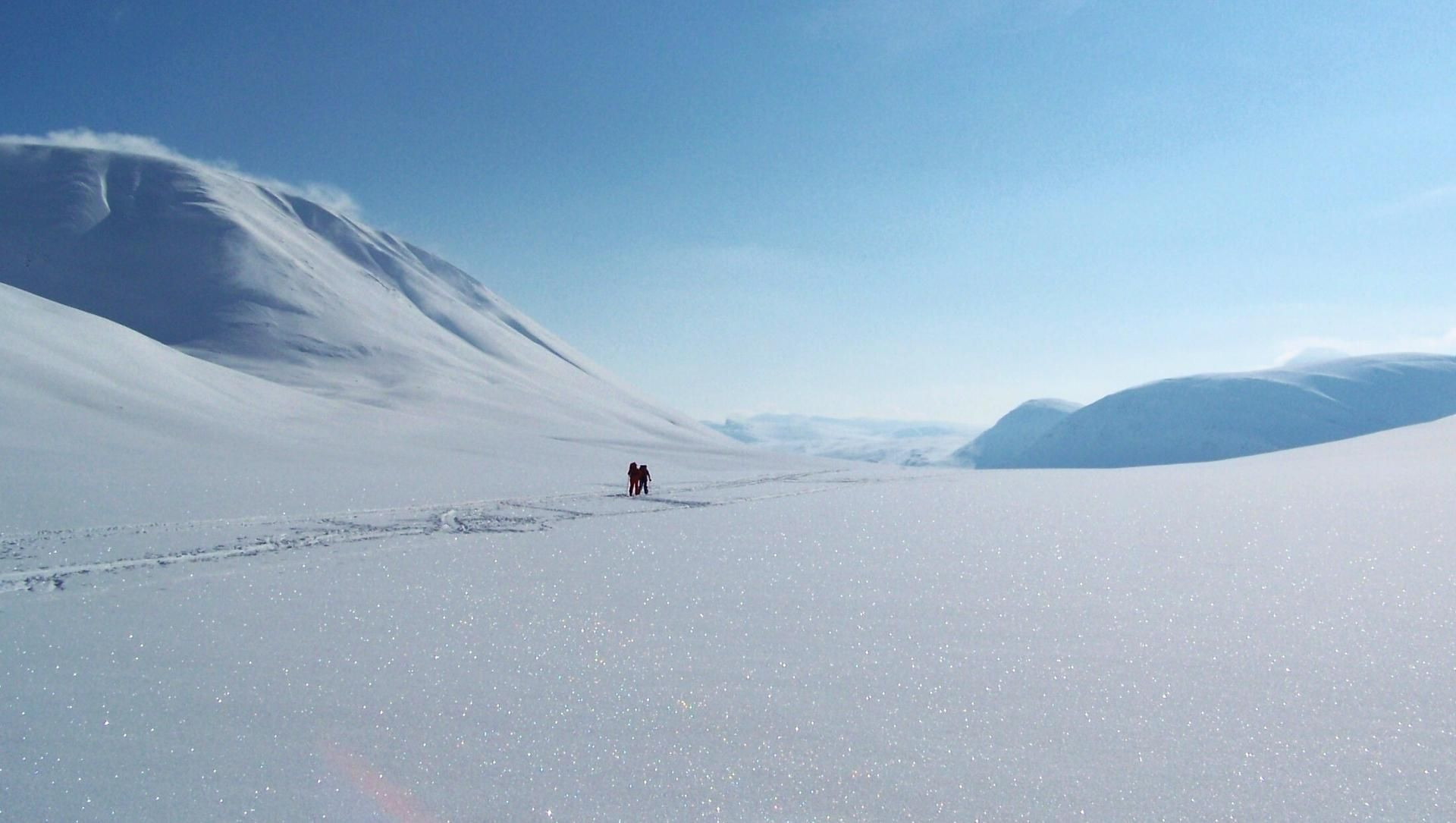 Glitzernder Schnee auf dem Kungsleden - Polare Landschaft - Schwedisch-Lappland