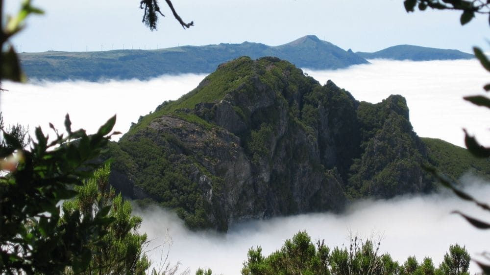 Gipfel über dem Wolkenmeer - Madeira - Portugal