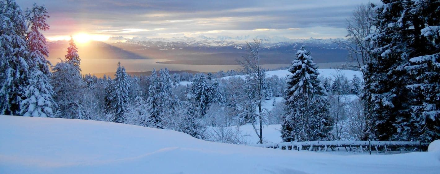 Winterlicher Sonnenuntergang über verschneiter Landschaft - Jura - Frankreich
