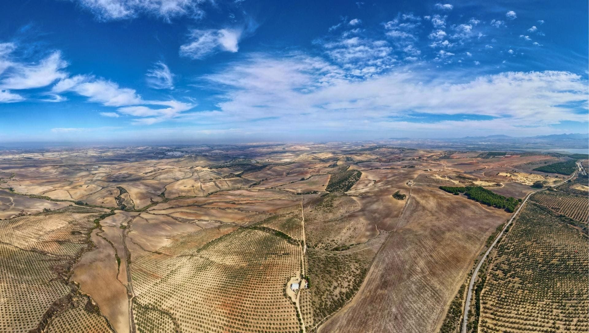 © David Praire Felder und Olivenhaine bei Arcos de la Frontera - Andalusien - Spanien