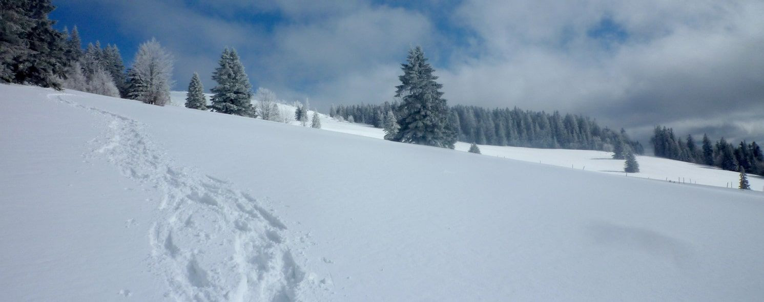 Schneeschuhspuren im Schnee des Schwarzwalds - Deutschland