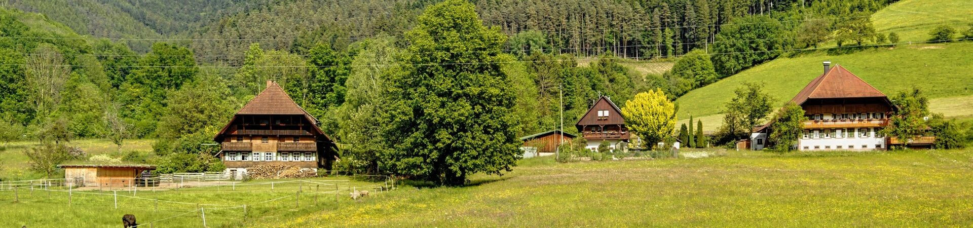 Fernwanderwege und Trekking im Schwarzwald