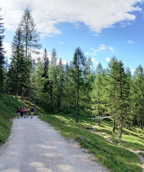 © Wilfrid Valette Weg zur Dibona-Hütte - Dolomiten - Italien