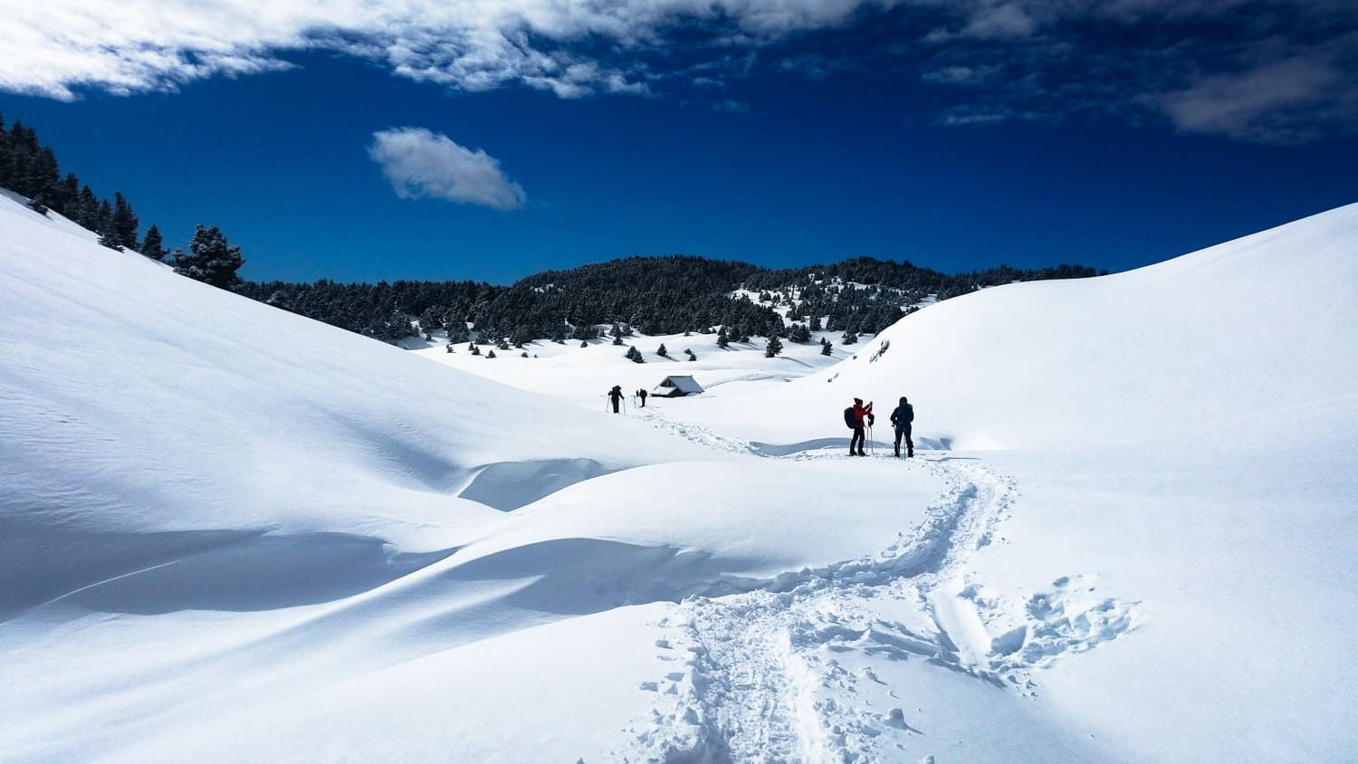 Schneeschuhwanderer im Schnee - Vercors - Frankreich