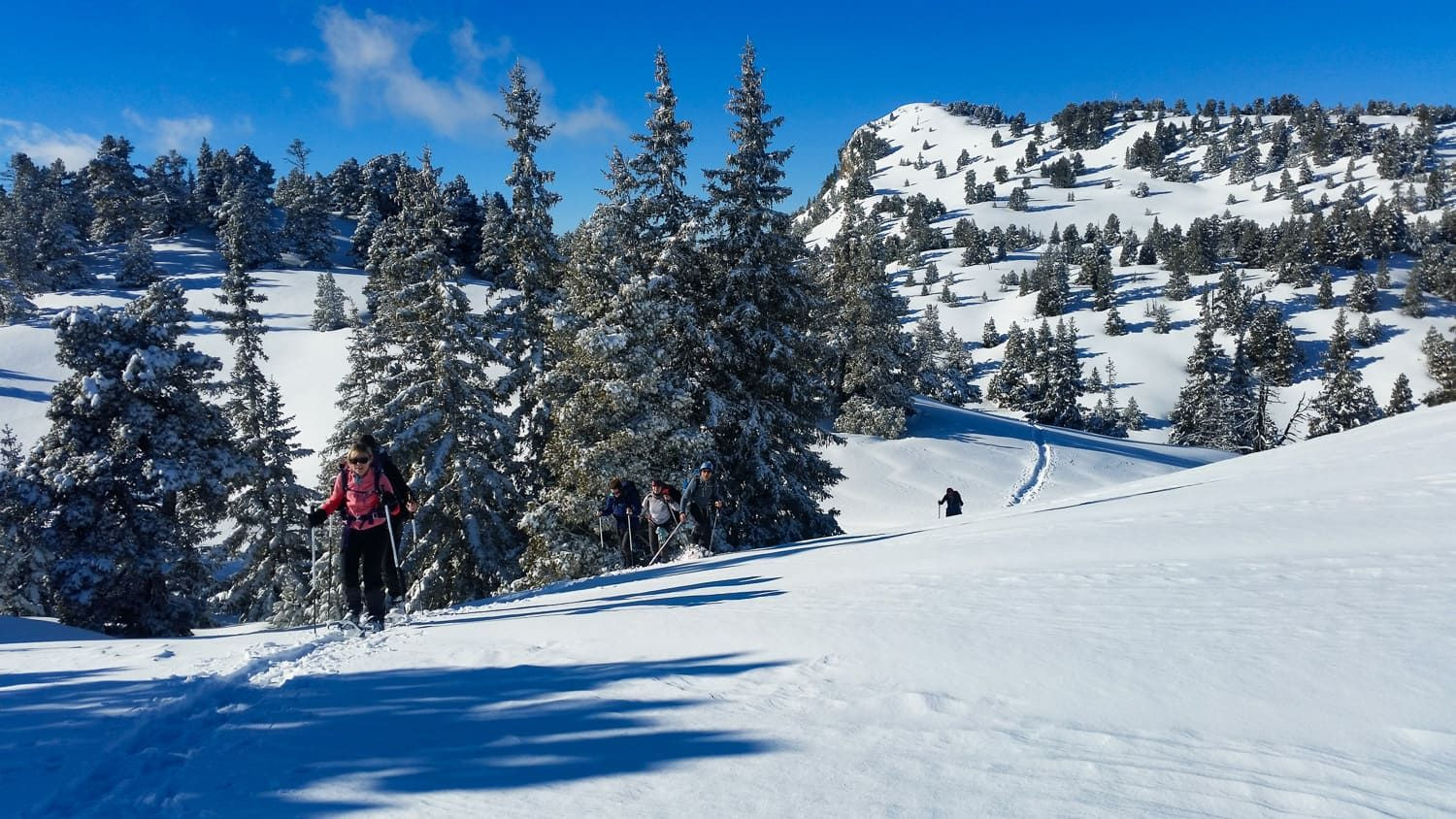 Schneeschuhwanderung über die verschneiten Hochebenen - Vercors - Frankreich