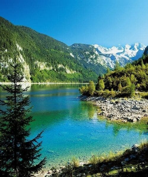 Türkisfarbener Gosausee mit dem Dachstein im Hintergrund - Oberösterreich - Österreich
