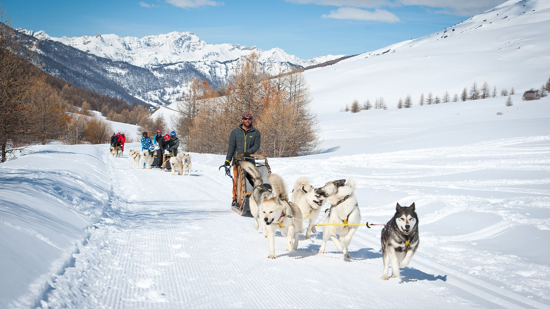 Hundeschlittenfahrt im Schnee - Queyras - Hautes-Alpes - Frankreich