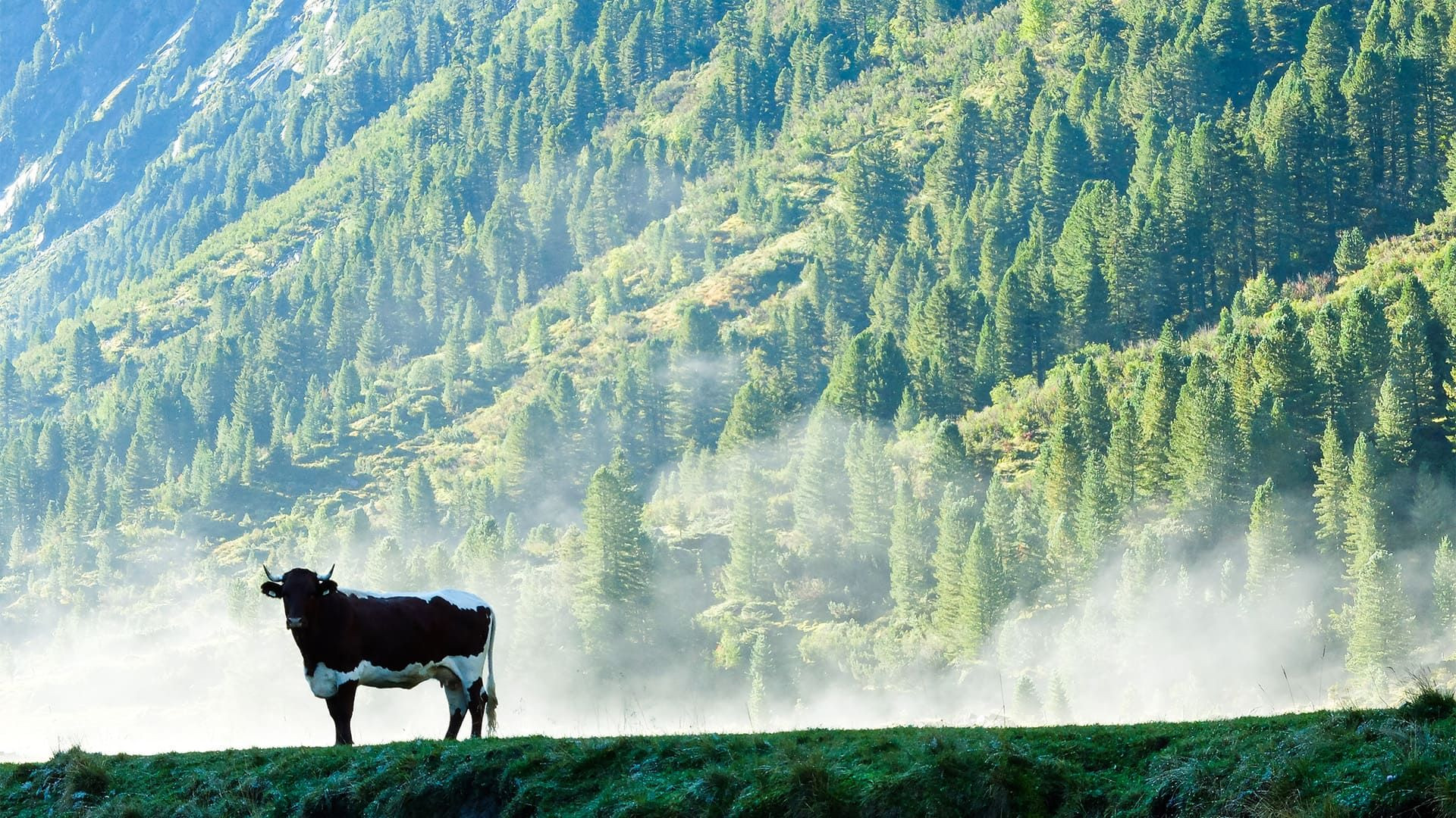 7-tägige Trekkingreise in den Alpen
