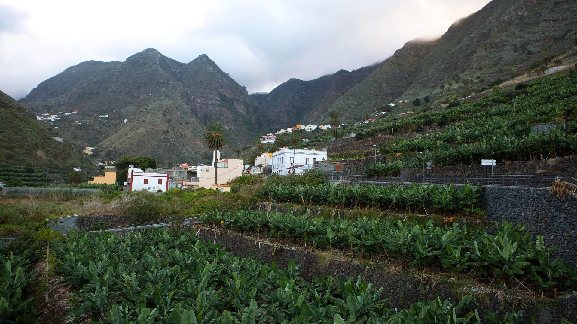 Tal auf La Gomera - Kanarische Inseln - Spanien