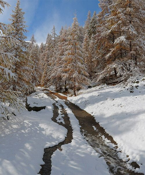 Vallon de Narreyroux