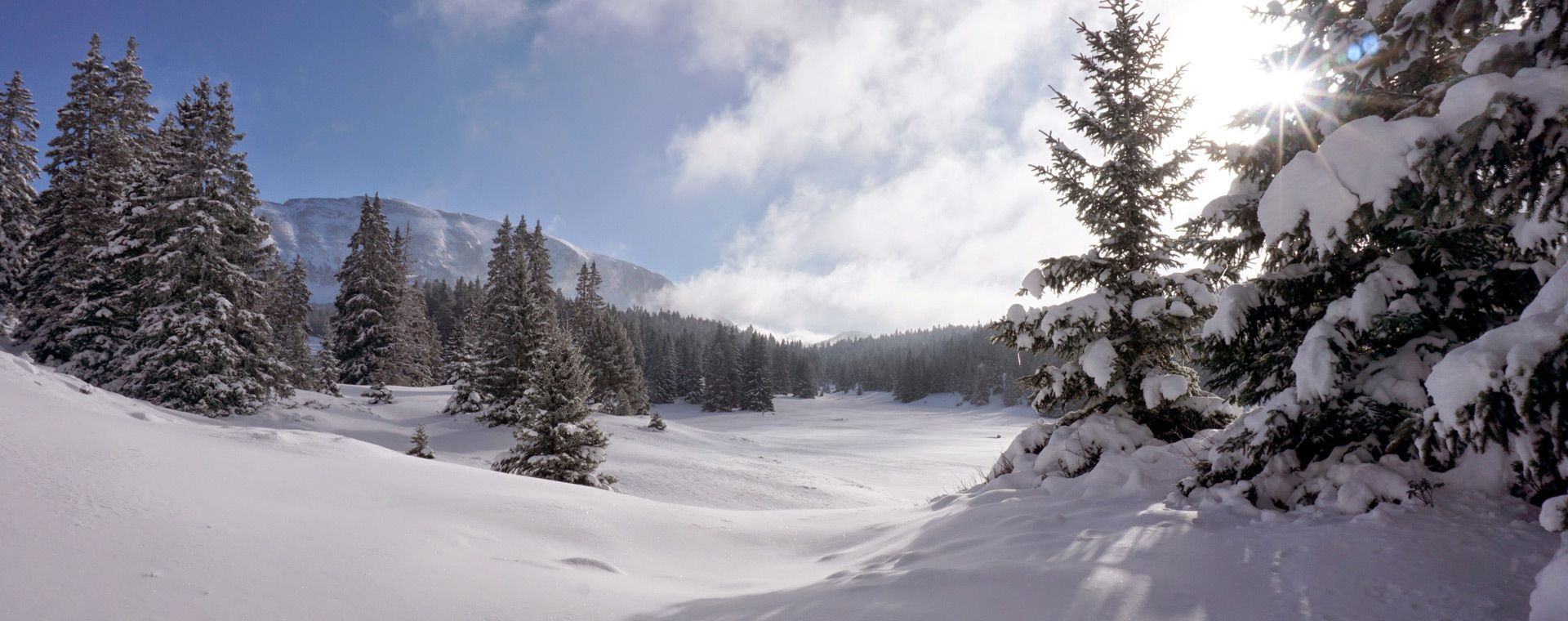 © Adrien Ozanon Naturschutzgebiet Hauts Plateaux du Vercors im Winter - Vercors - Frankreich