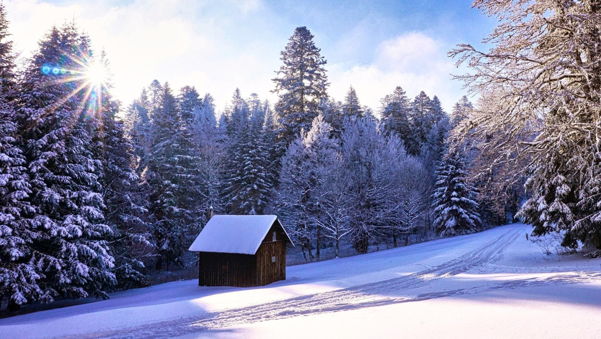 Holzhütte im sonnigen verschneiten Wald - Vercors - Frankreich