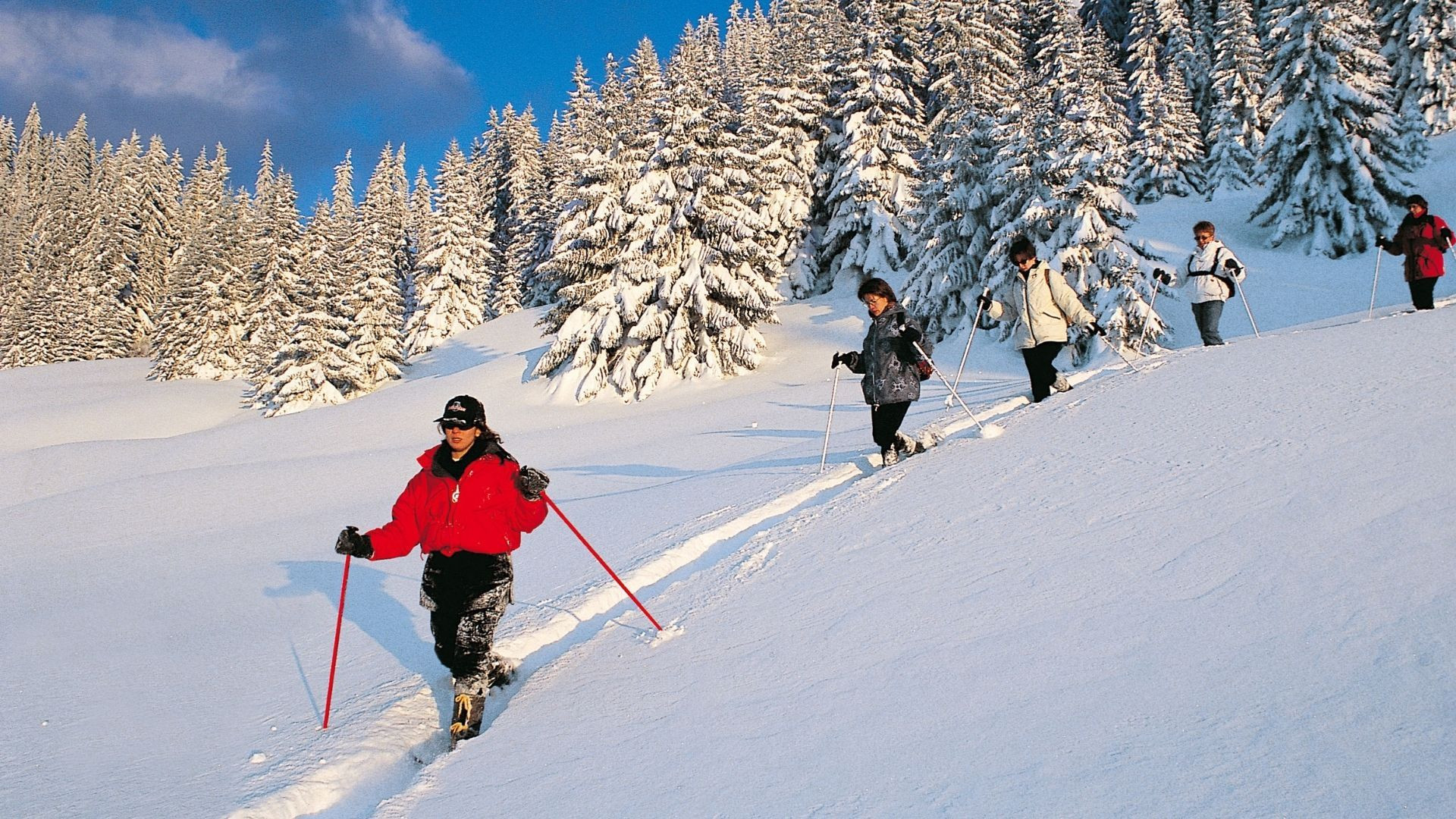 Schneeschuhgruppe zwischen verschneiten Tannen - Vercors - Frankreich