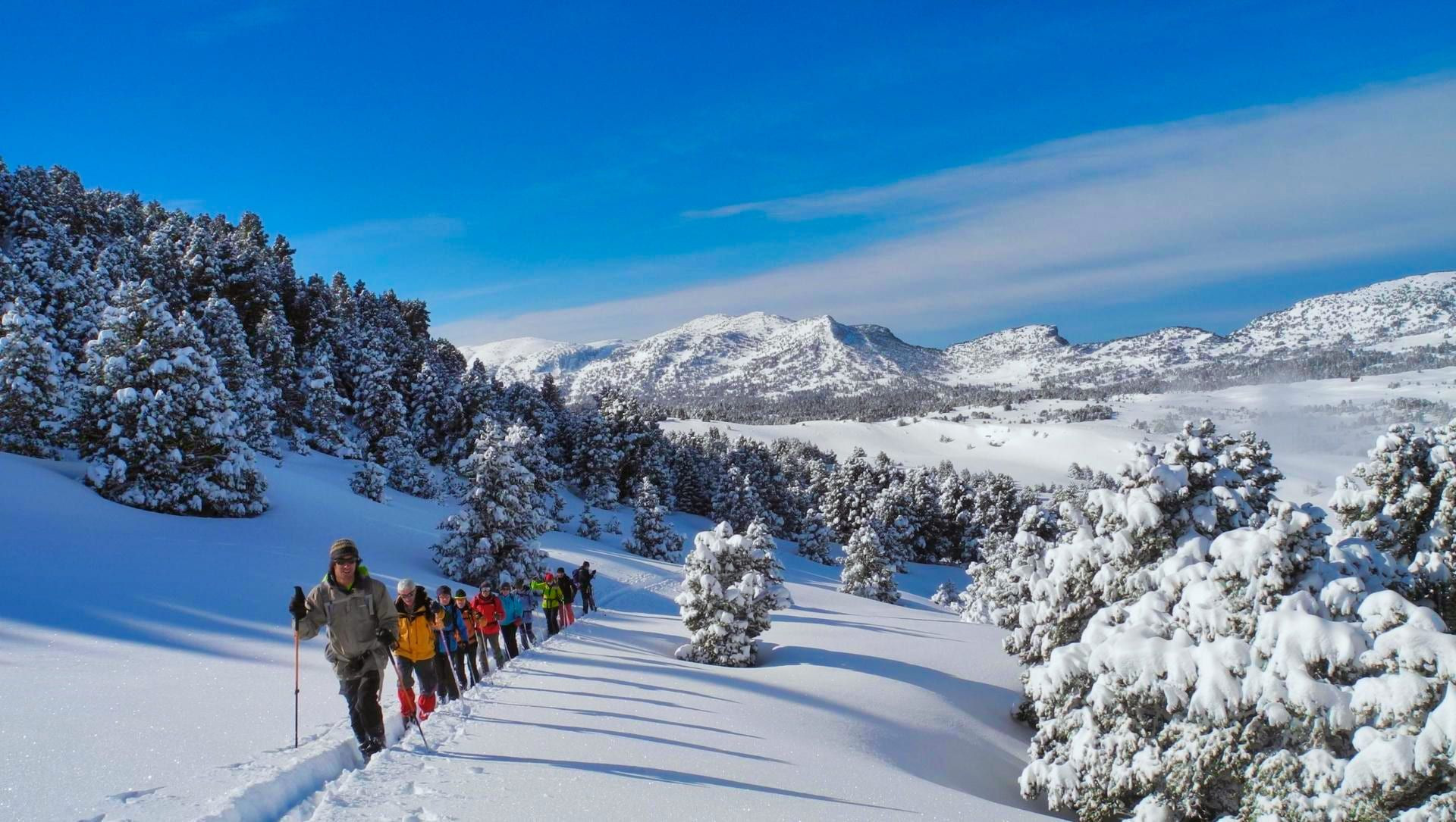 Schneeschuhwandergruppe in den verschneiten Wäldern des Vercors - Alpen - Frankreich