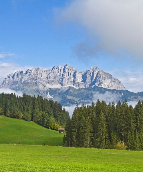 Blick auf den Wilden Kaiser - Tirol - Österreich