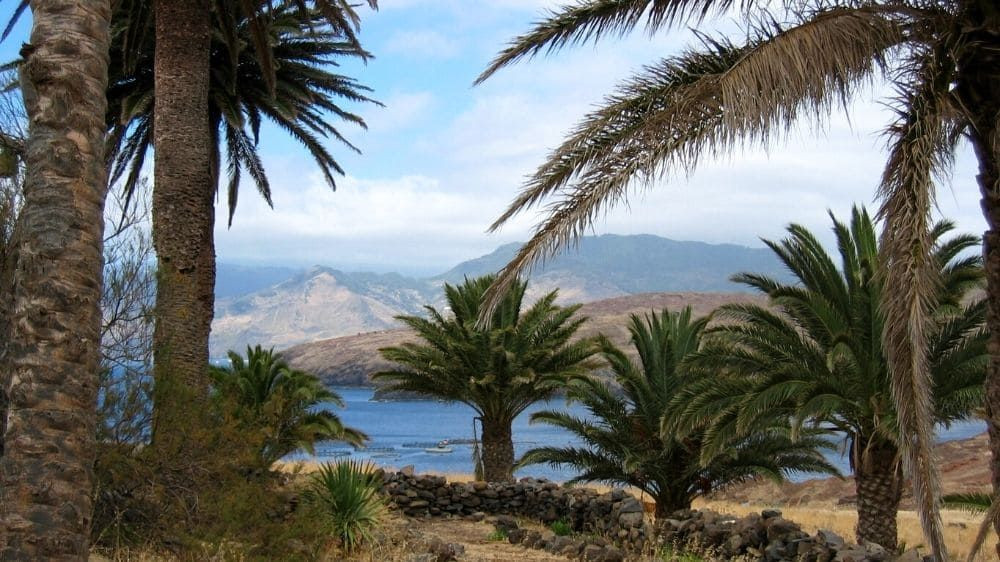 Palmen, Meer und Berge - Madeira - Portugal