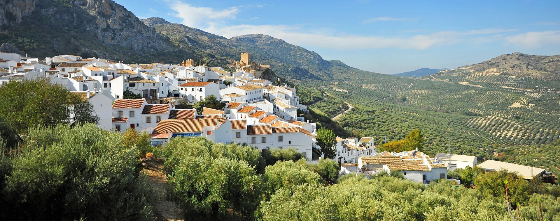 Weißes Dorf Zuheros und Olivenhaine - Andalusien - Spanien