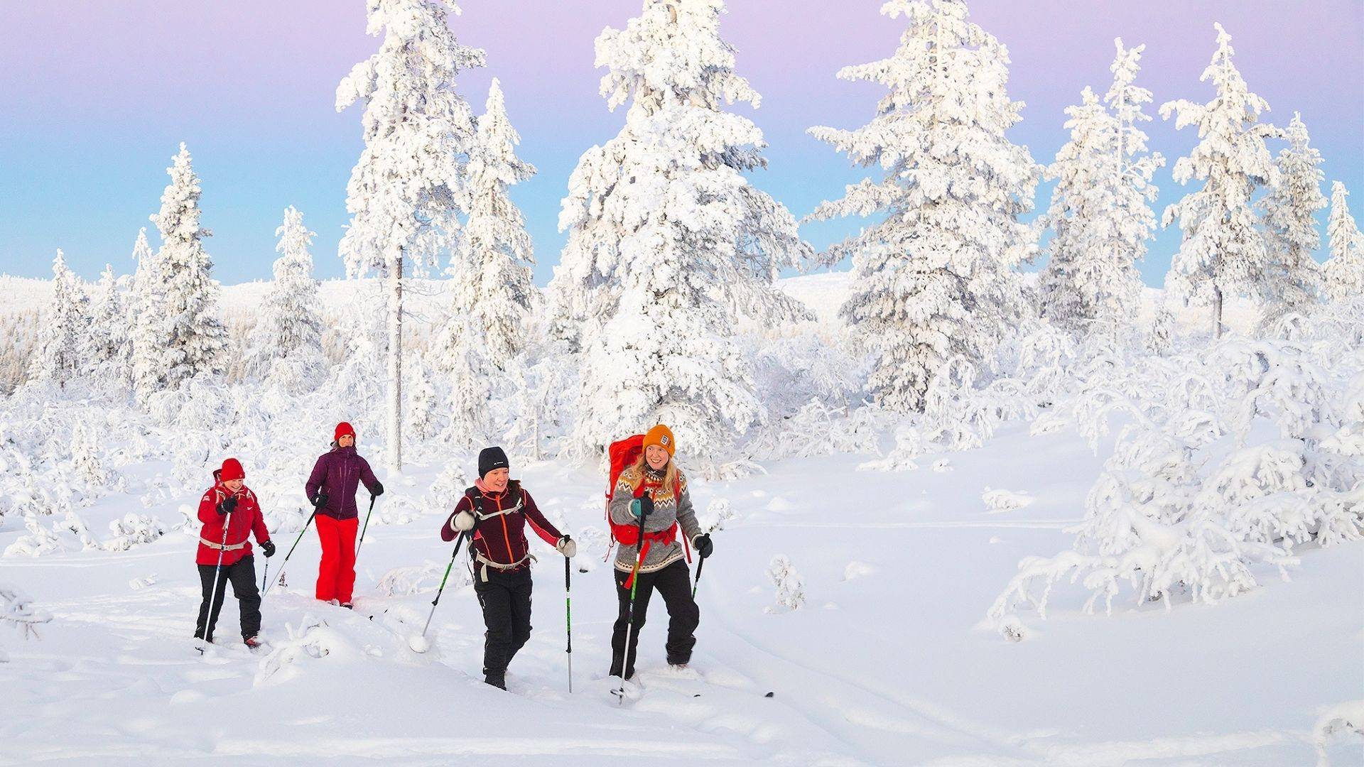 Wohin zum Skifahren? Unterschiede zwischen den verschiedenen Skiarten