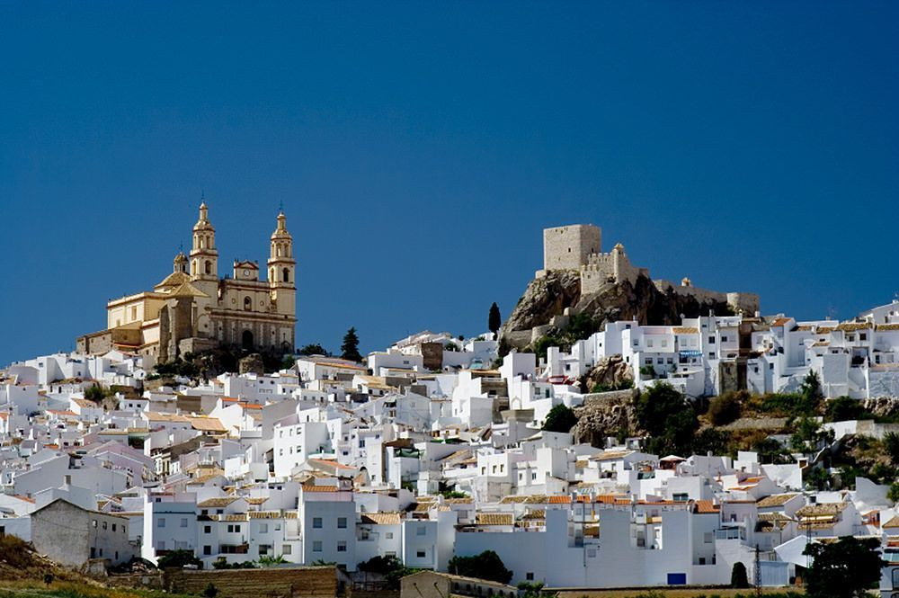 © David Praire Weißes Dorf Olvera - Andalusien - Spanien