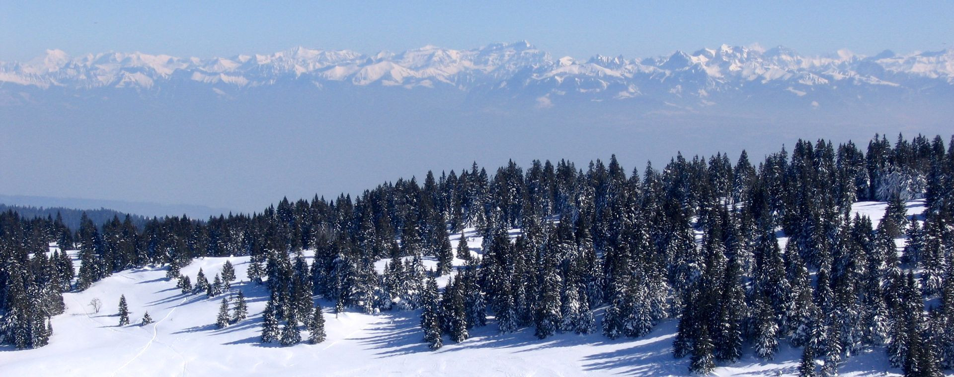 Verschneiter Wald mit Blick auf die Alpen - Französisch-Schweizer Jura